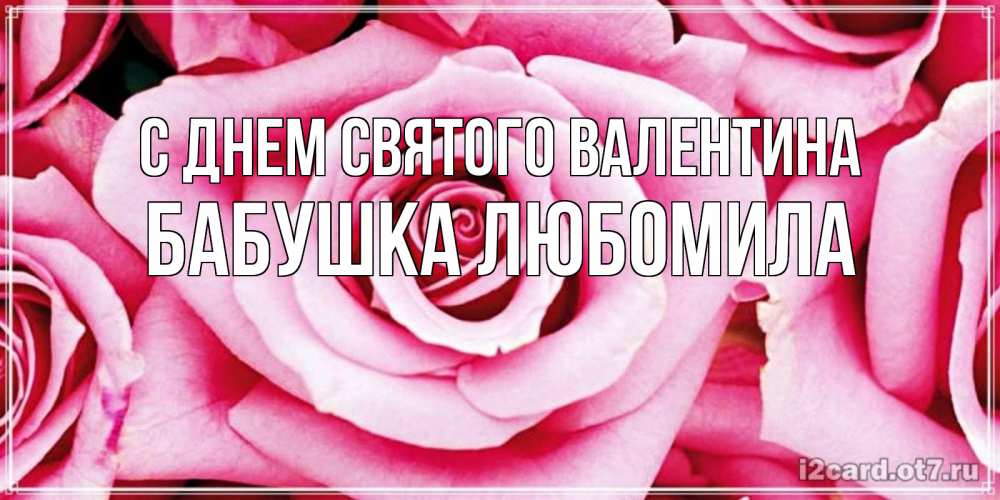 Открытка на каждый день с именем, Бабушка-Любомила С днем Святого Валентина роза розовая на день Святого Валентина Прикольная открытка с пожеланием онлайн скачать бесплатно 