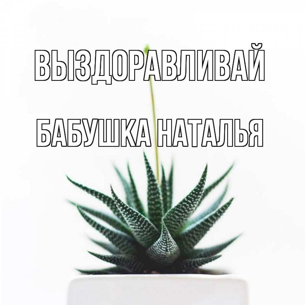 Открытка на каждый день с именем, Бабушка-Наталья Выздоравливай короче это непонятная колючка Прикольная открытка с пожеланием онлайн скачать бесплатно 