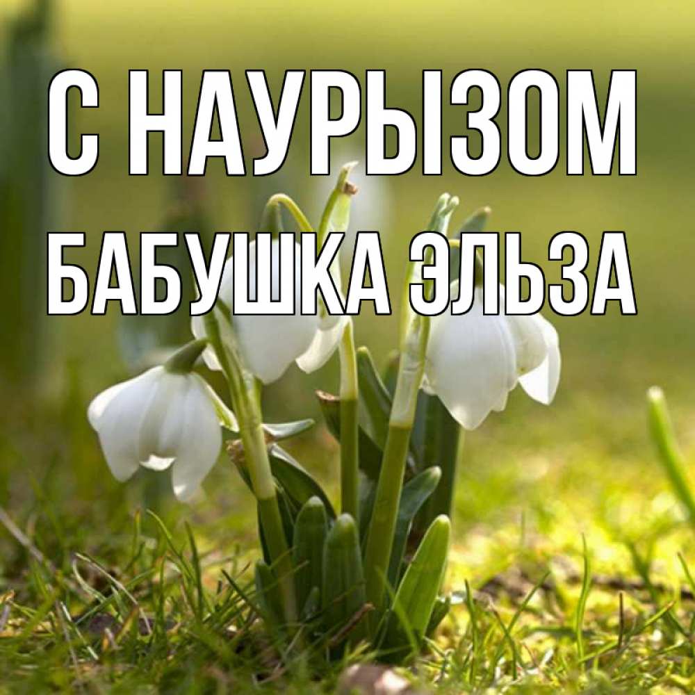 Открытка на каждый день с именем, Бабушка-Эльза С наурызом ранние цветы 2 Прикольная открытка с пожеланием онлайн скачать бесплатно 