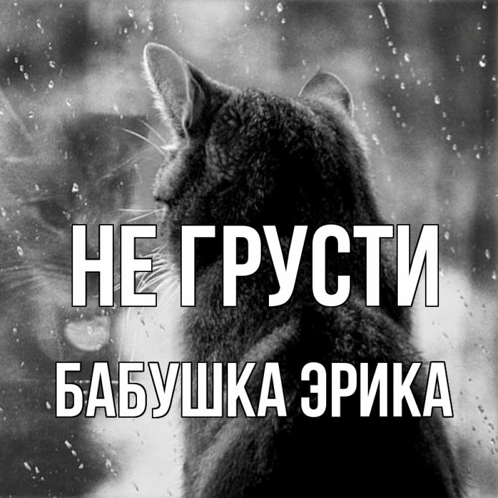 Открытка на каждый день с именем, Бабушка-Эрика Не грусти отражение кота 1 Прикольная открытка с пожеланием онлайн скачать бесплатно 