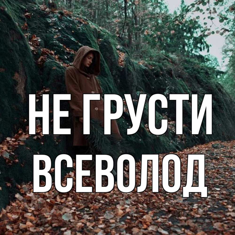 Открытка на каждый день с именем, Всеволод Не грусти осенний лес Прикольная открытка с пожеланием онлайн скачать бесплатно 