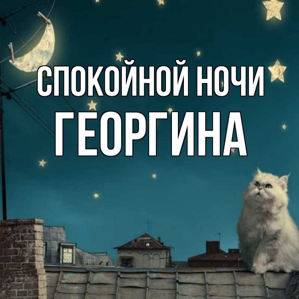 Открытка на каждый день с именем, Георгина Спокойной ночи белый кот сидит на крыше Прикольная открытка с пожеланием онлайн скачать бесплатно 