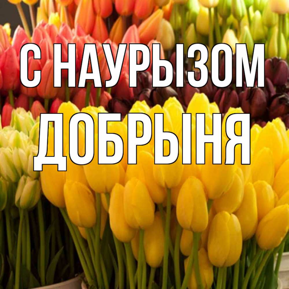 Открытка на каждый день с именем, Добрыня С наурызом цветы Прикольная открытка с пожеланием онлайн скачать бесплатно 