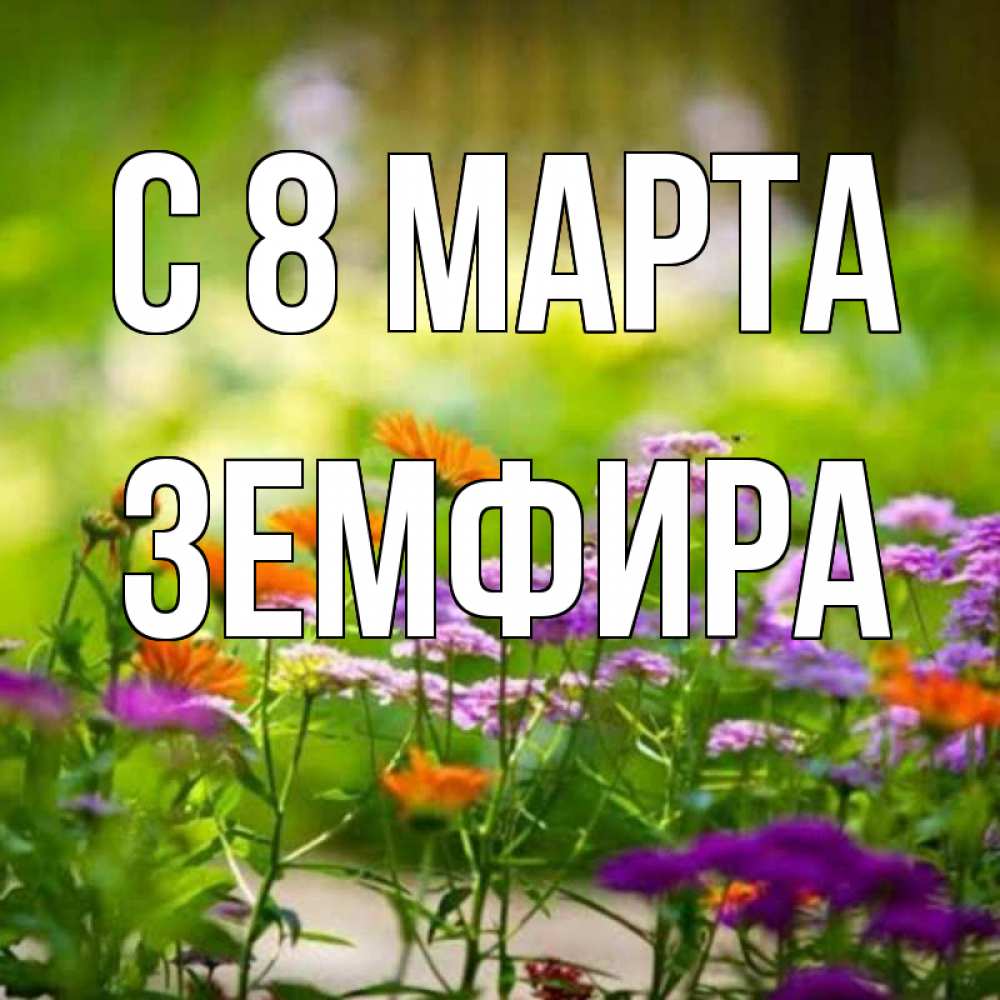 Открытка на каждый день с именем, Земфира С 8 МАРТА цветы Прикольная открытка с пожеланием онлайн скачать бесплатно 