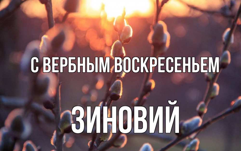 Открытка на каждый день с именем, Зиновий С вербным воскресеньем верба Прикольная открытка с пожеланием онлайн скачать бесплатно 