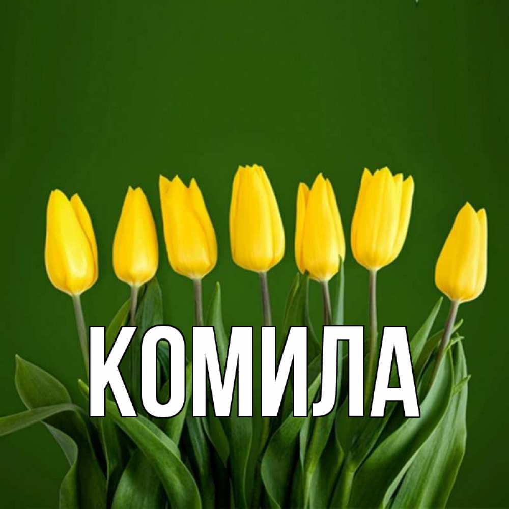 Открытка на каждый день с именем, Комила Главная желтого цвета 3 Прикольная открытка с пожеланием онлайн скачать бесплатно 