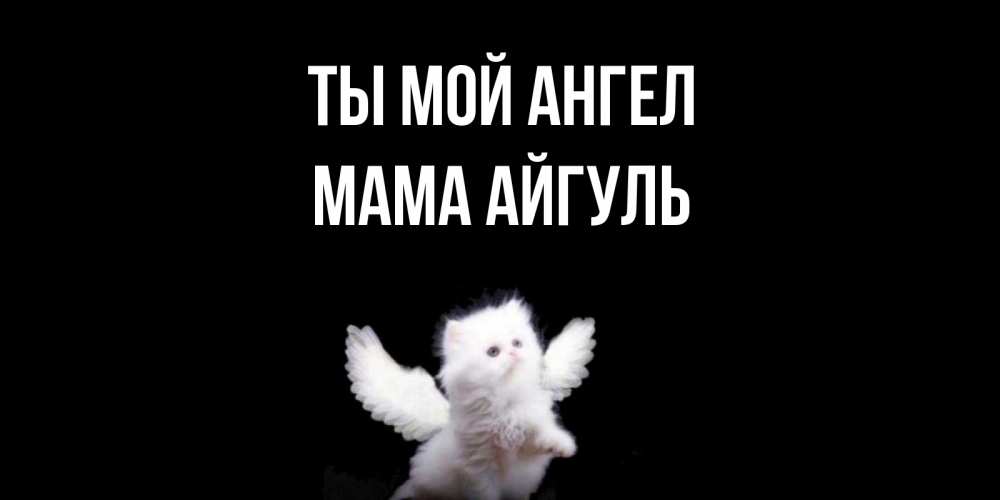 Открытка на каждый день с именем, Мама-Айгуль Ты мой ангел Кот ангел Прикольная открытка с пожеланием онлайн скачать бесплатно 