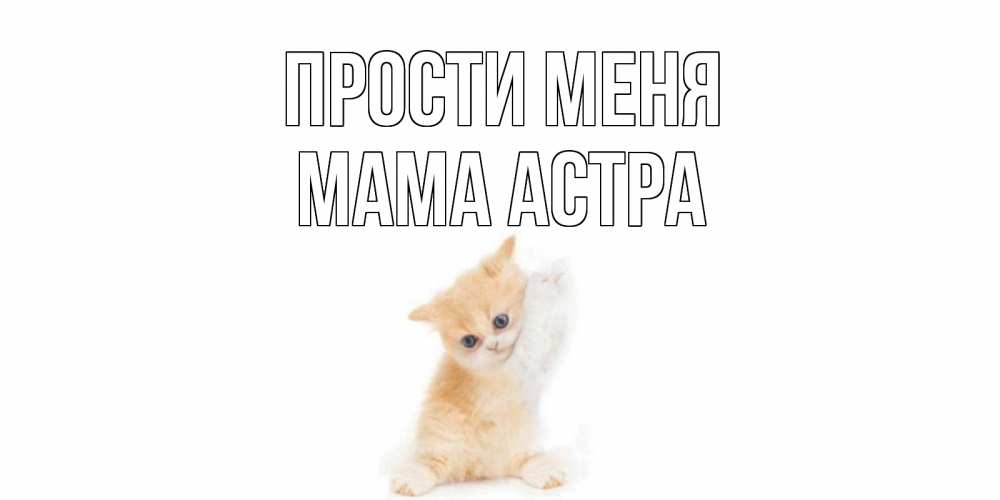 Открытка на каждый день с именем, Мама-Астра Прости меня кот Прикольная открытка с пожеланием онлайн скачать бесплатно 