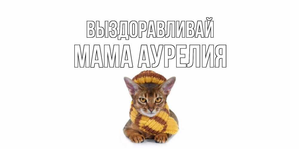 Открытка на каждый день с именем, Мама-Аурелия Выздоравливай родные не болейте Прикольная открытка с пожеланием онлайн скачать бесплатно 