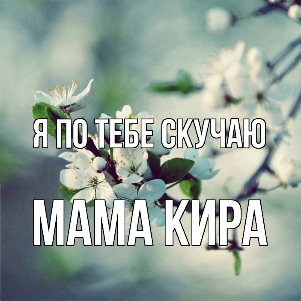 Открытка на каждый день с именем, Мама-Кира Я по тебе скучаю весна Прикольная открытка с пожеланием онлайн скачать бесплатно 