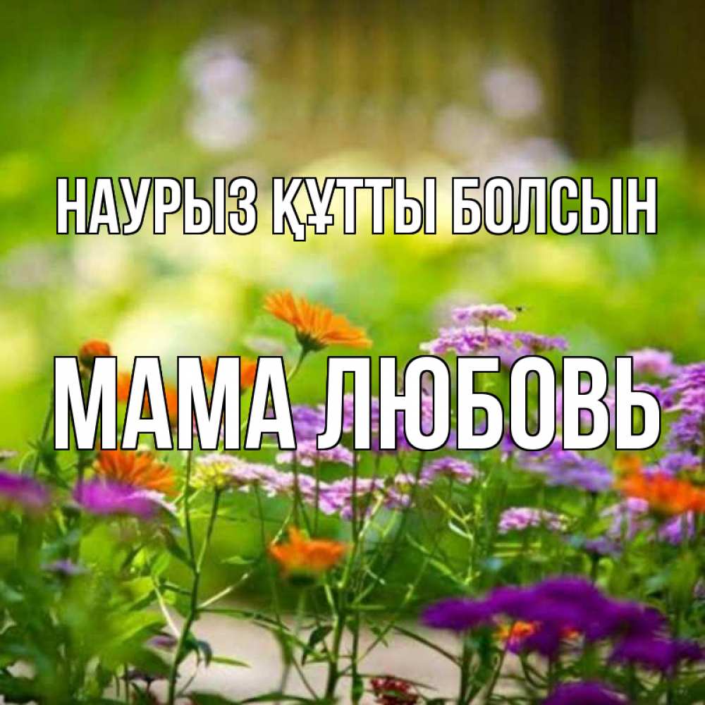 Открытка на каждый день с именем, Мама-Любовь Наурыз құтты болсын цветы Прикольная открытка с пожеланием онлайн скачать бесплатно 