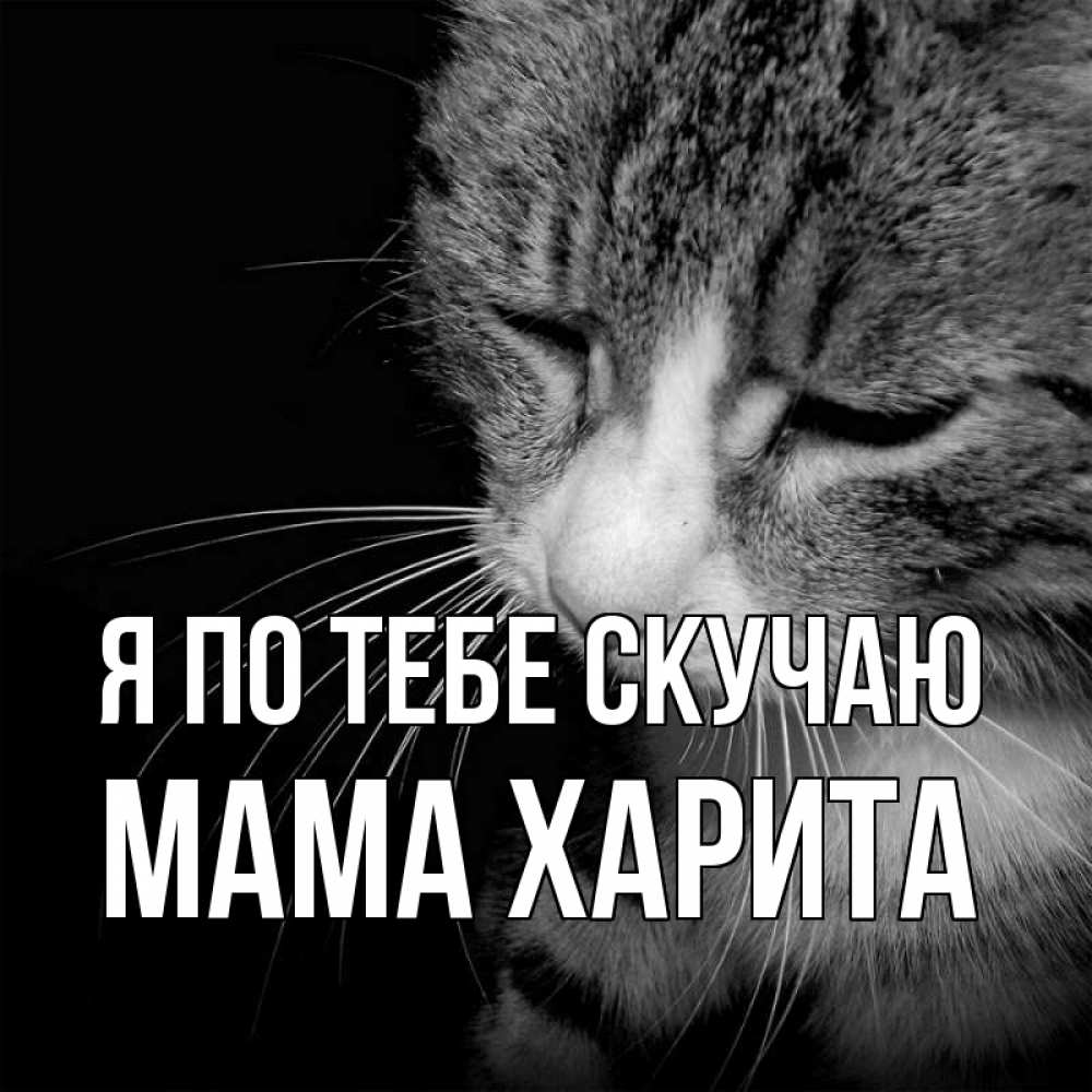 Открытка на каждый день с именем, Мама-Харита Я по тебе скучаю мне скучно Прикольная открытка с пожеланием онлайн скачать бесплатно 
