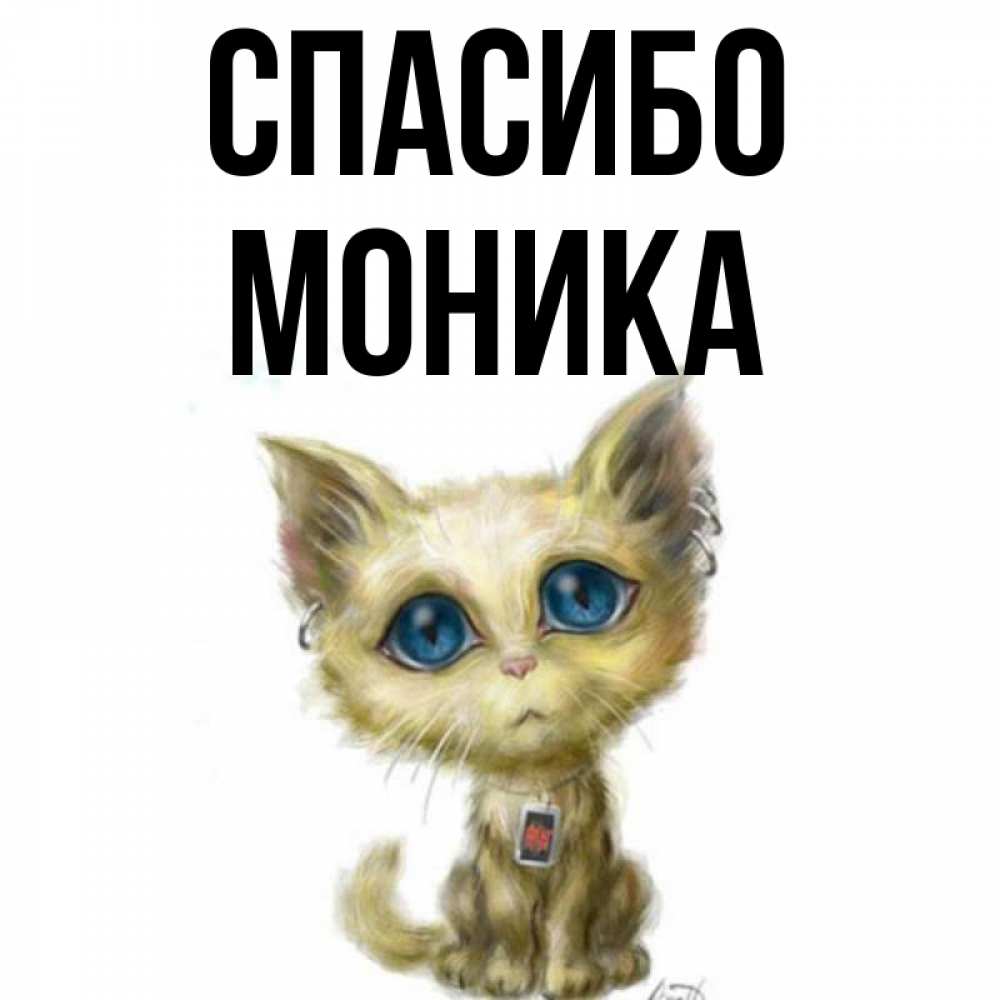 Открытка на каждый день с именем, Моника Спасибо рисованный кот благодарит вас Прикольная открытка с пожеланием онлайн скачать бесплатно 