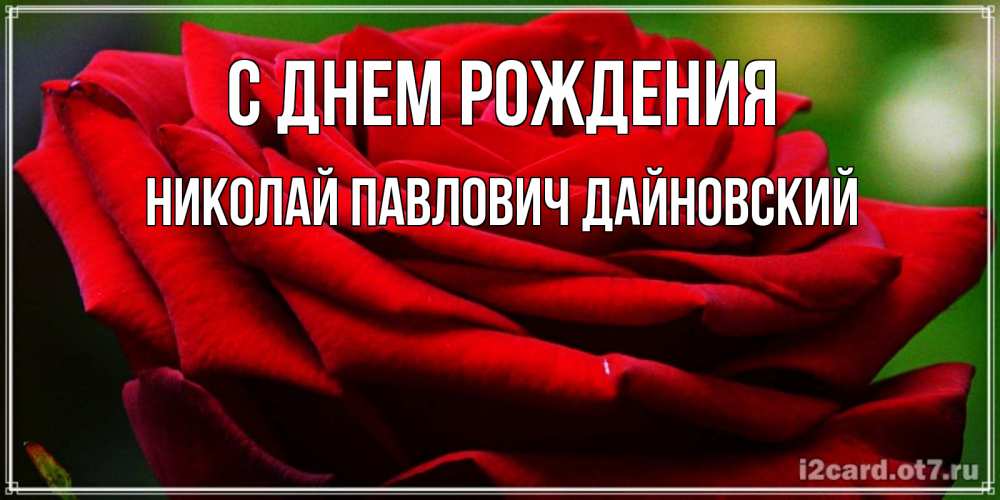 Открытка на каждый день с именем, НИКОЛАЙ-ПАВЛОВИЧ-ДАЙНОВСКИЙ С днем рождения розочка очень красивая Прикольная открытка с пожеланием онлайн скачать бесплатно 