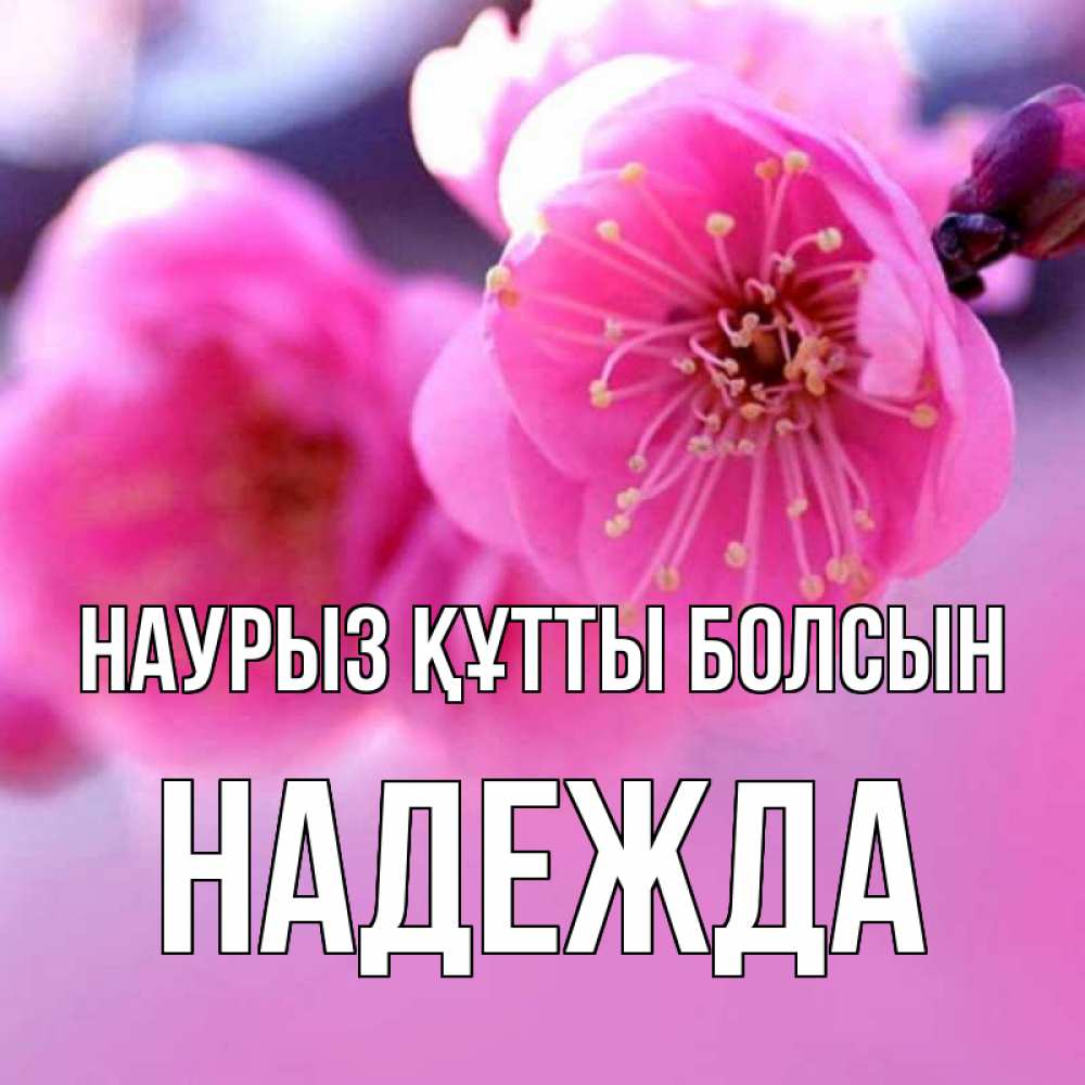 Открытка на каждый день с именем, Надежда Наурыз құтты болсын наурыз мейрам Прикольная открытка с пожеланием онлайн скачать бесплатно 
