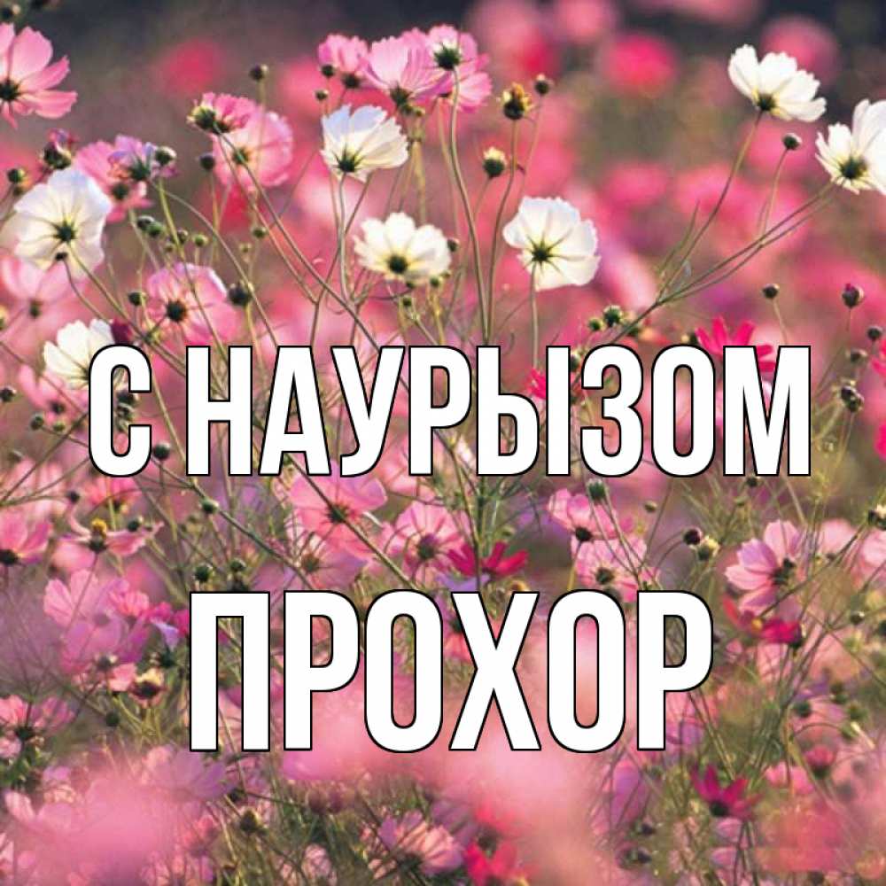 Открытка на каждый день с именем, Прохор С наурызом красиво 1 Прикольная открытка с пожеланием онлайн скачать бесплатно 