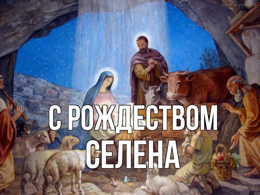 Открытка на каждый день с именем, Селена С рождеством Хлев с животными, Иисус, рождество Прикольная открытка с пожеланием онлайн скачать бесплатно 