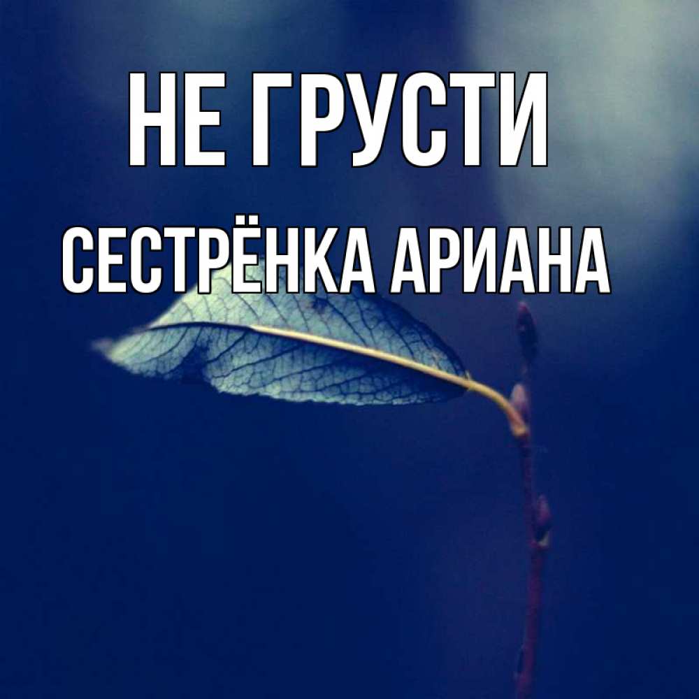 Открытка на каждый день с именем, Сестрёнка-Ариана Не грусти растение Прикольная открытка с пожеланием онлайн скачать бесплатно 