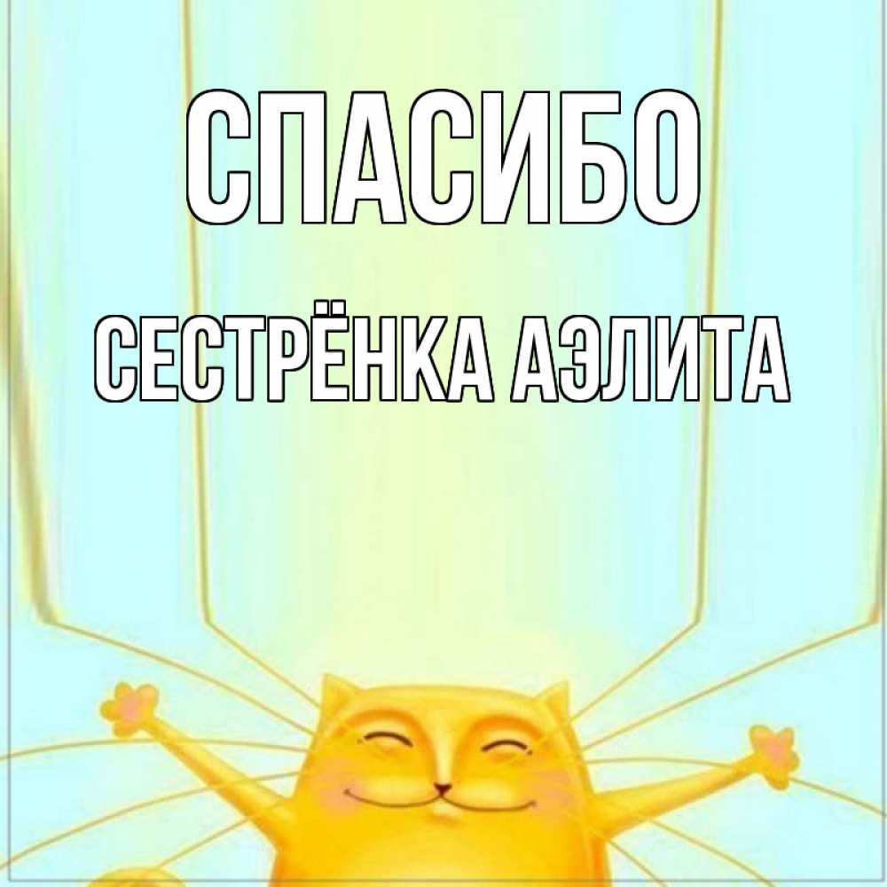 Открытка на каждый день с именем, Сестрёнка-Аэлита Спасибо кот с усами благодарит Прикольная открытка с пожеланием онлайн скачать бесплатно 