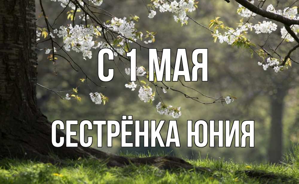 Открытка на каждый день с именем, Сестрёнка-Юния С 1 мая С 1 мая Прикольная открытка с пожеланием онлайн скачать бесплатно 