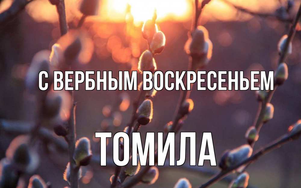 Открытка на каждый день с именем, Томила С вербным воскресеньем верба Прикольная открытка с пожеланием онлайн скачать бесплатно 
