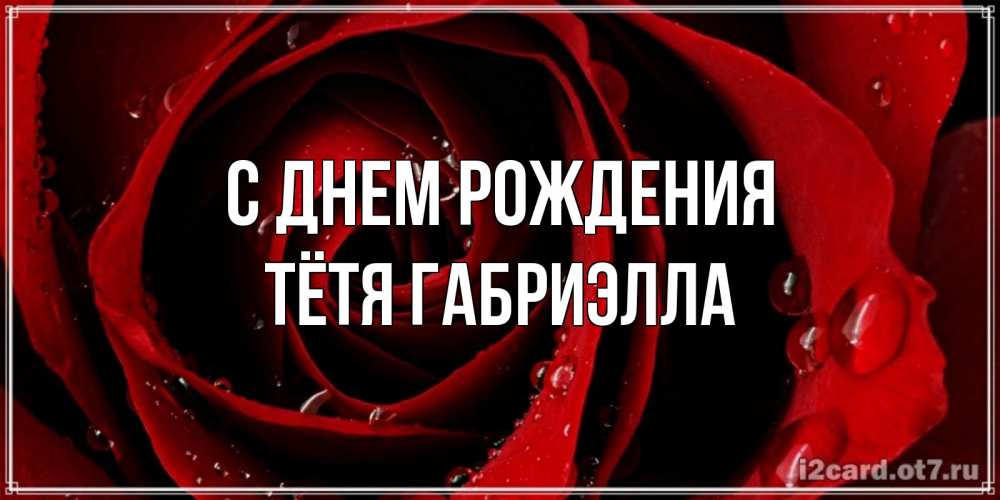 Открытка на каждый день с именем, Тётя-Габриэлла С днем рождения крупная бордовая роза Прикольная открытка с пожеланием онлайн скачать бесплатно 