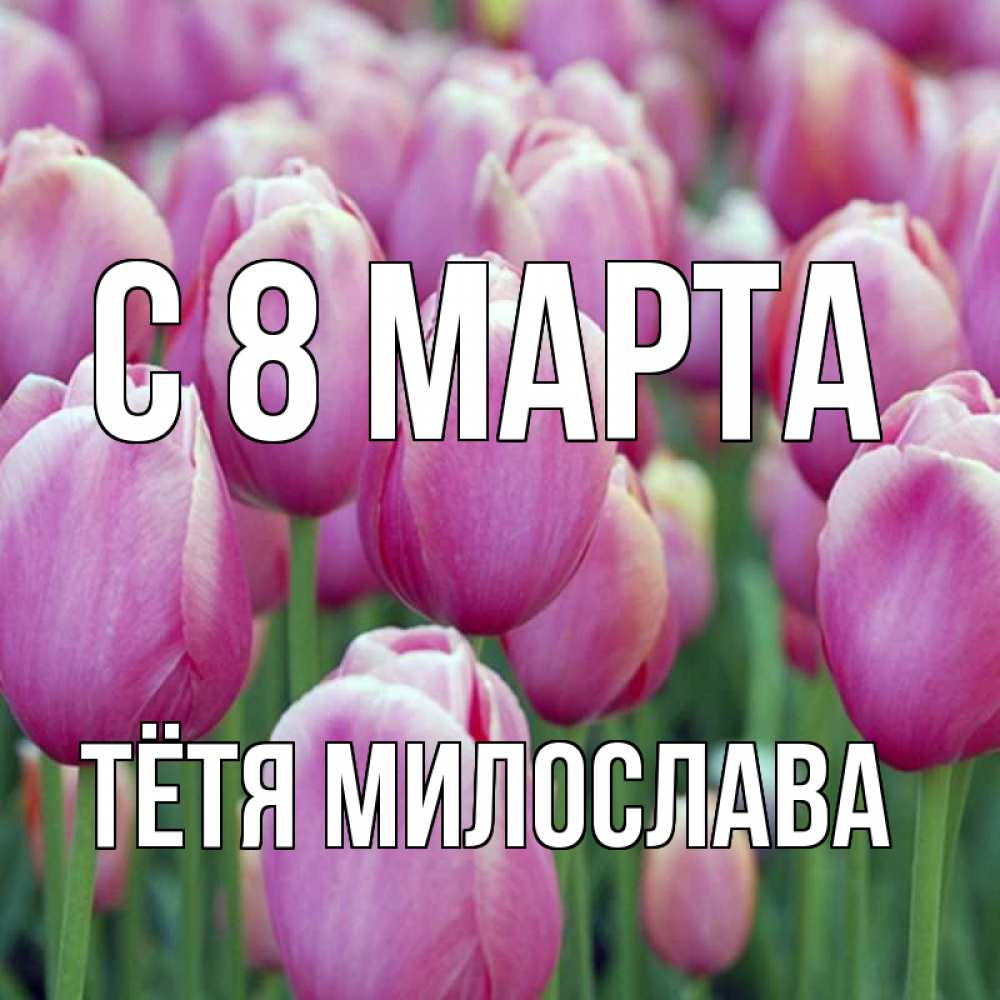Открытка на каждый день с именем, Тётя-Милослава С 8 МАРТА на международный женский день 3 Прикольная открытка с пожеланием онлайн скачать бесплатно 