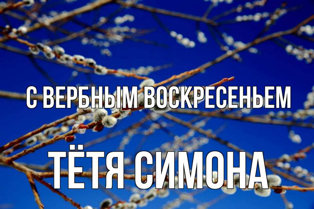 Открытка на каждый день с именем, Тётя-Симона С вербным воскресеньем верба Прикольная открытка с пожеланием онлайн скачать бесплатно 