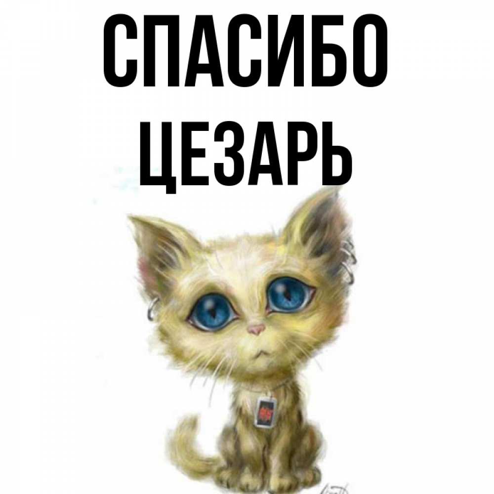 Открытка на каждый день с именем, Цезарь Спасибо рисованный кот благодарит вас Прикольная открытка с пожеланием онлайн скачать бесплатно 