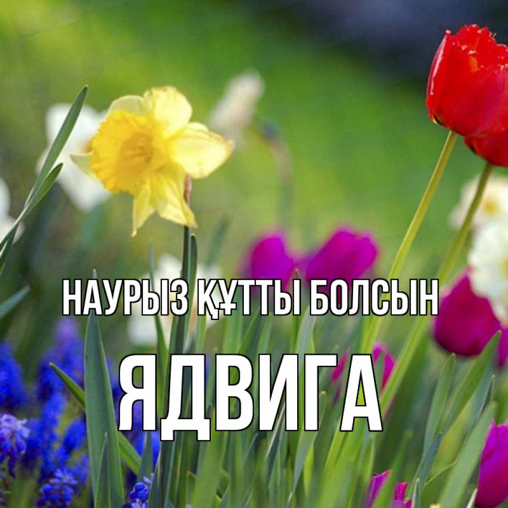 Открытка на каждый день с именем, Ядвига Наурыз құтты болсын наурыз  3 открытки Прикольная открытка с пожеланием онлайн скачать бесплатно 