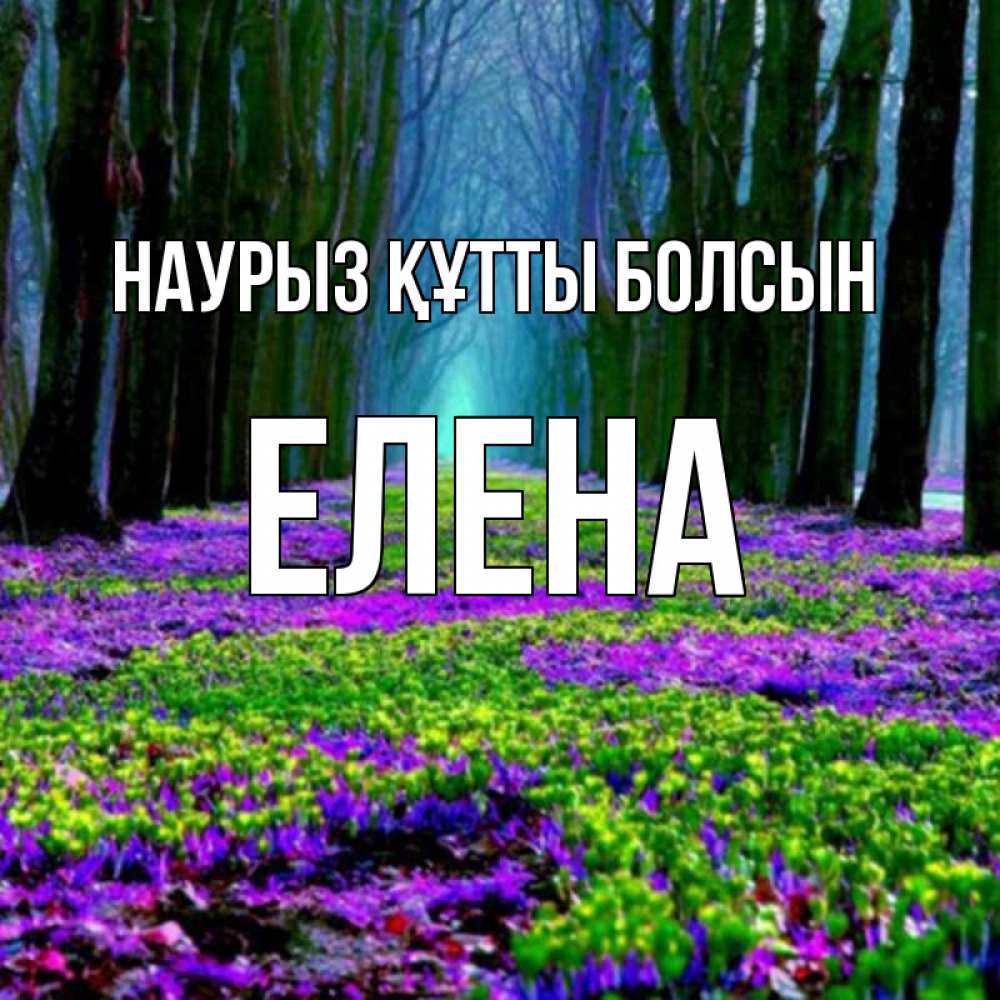 Открытка на каждый день с именем, Елена Наурыз құтты болсын фиолетовые цветы в лесу 1 Прикольная открытка с пожеланием онлайн скачать бесплатно 