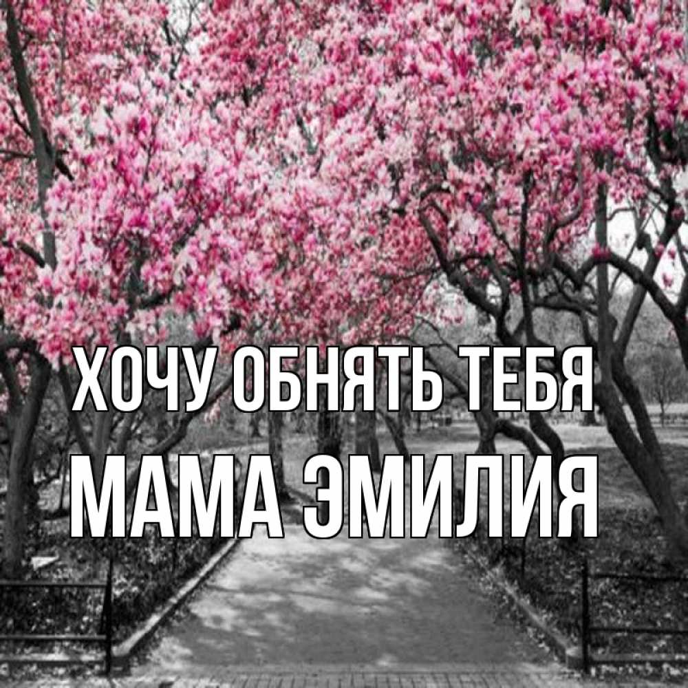 Открытка на каждый день с именем, Мама-Эмилия Хочу обнять тебя обработанное фото Прикольная открытка с пожеланием онлайн скачать бесплатно 