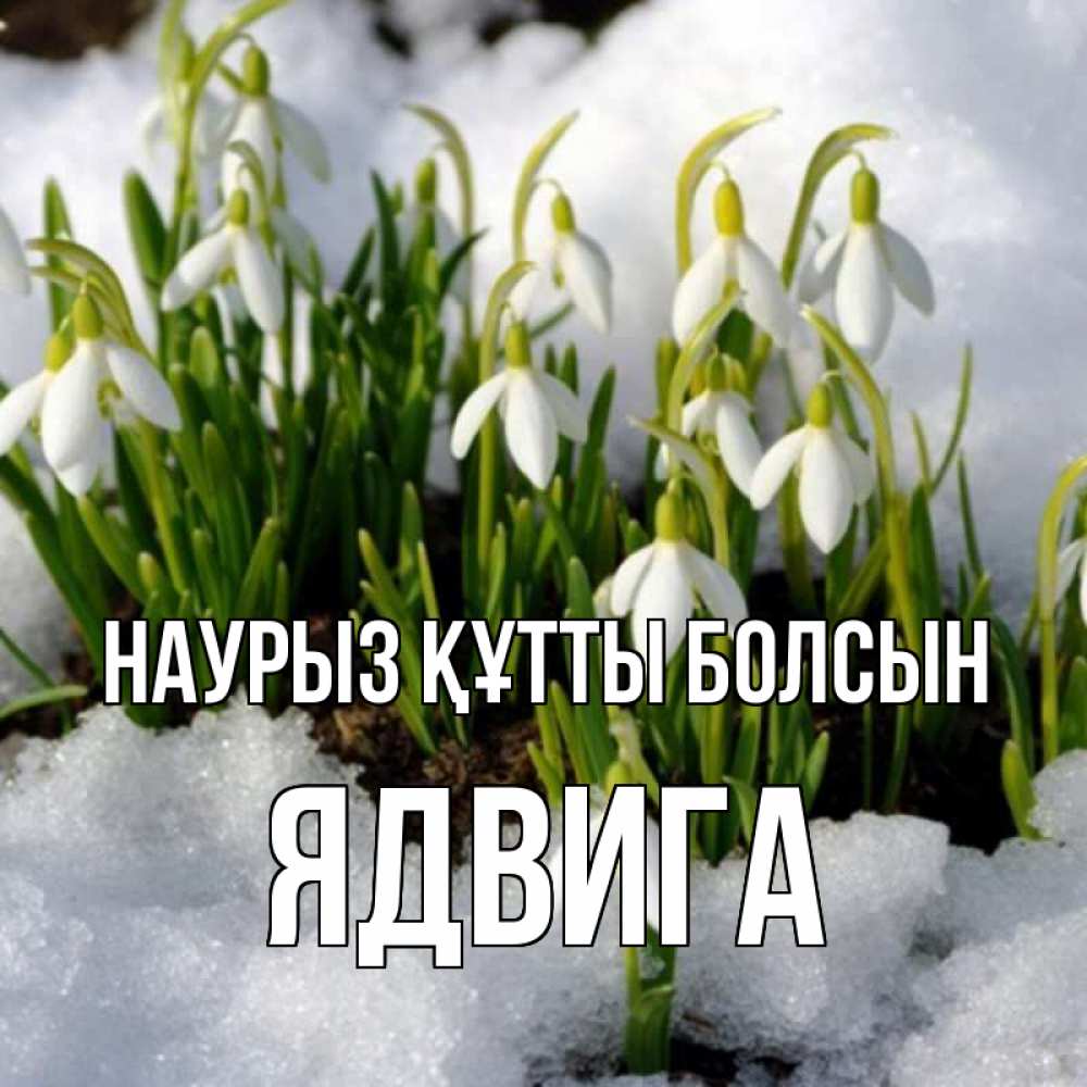 Открытка на каждый день с именем, Ядвига Наурыз құтты болсын цветы весенние Прикольная открытка с пожеланием онлайн скачать бесплатно 