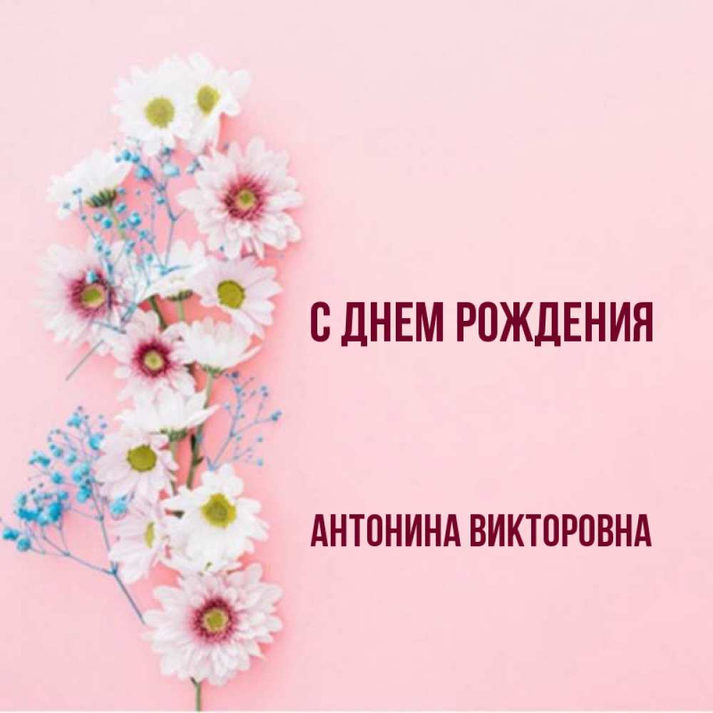 С Днем Рождения Антонина Картинки