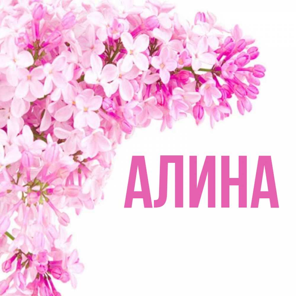 Картинки на имя алина