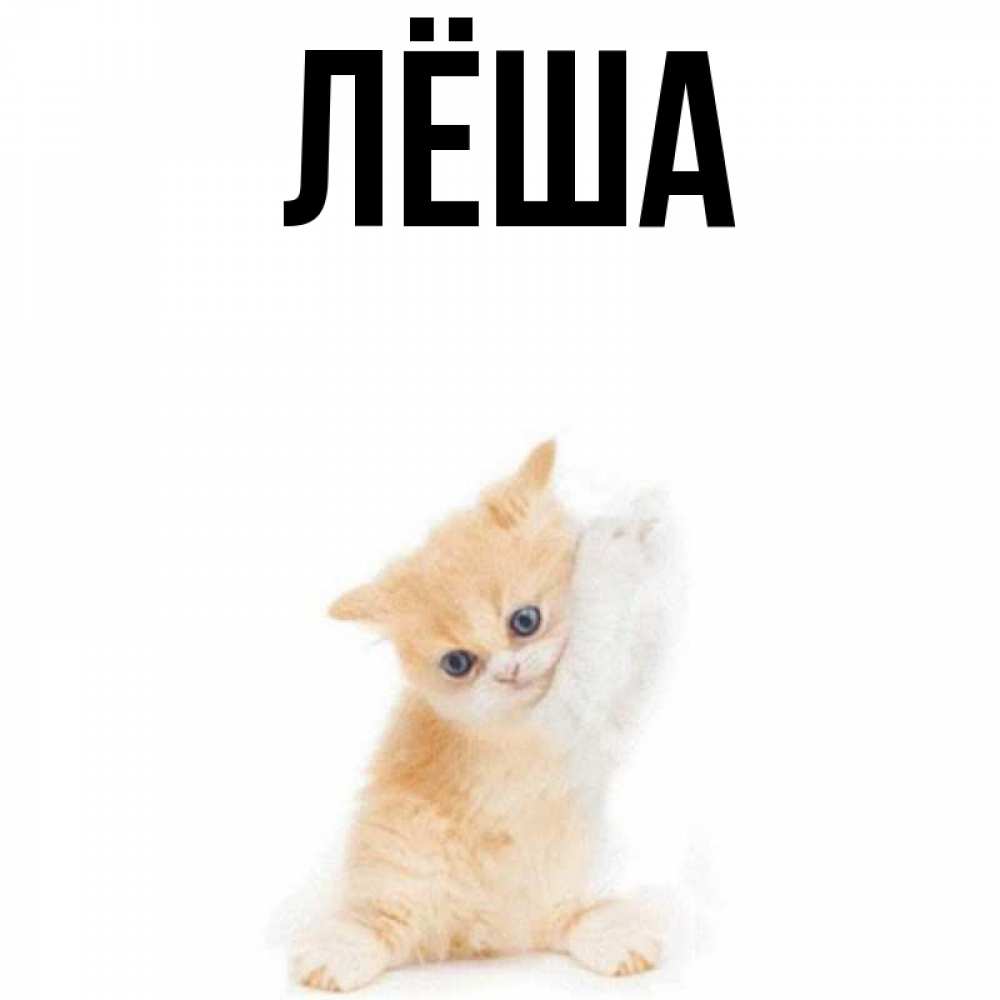 Картинки с именем саша девочка
