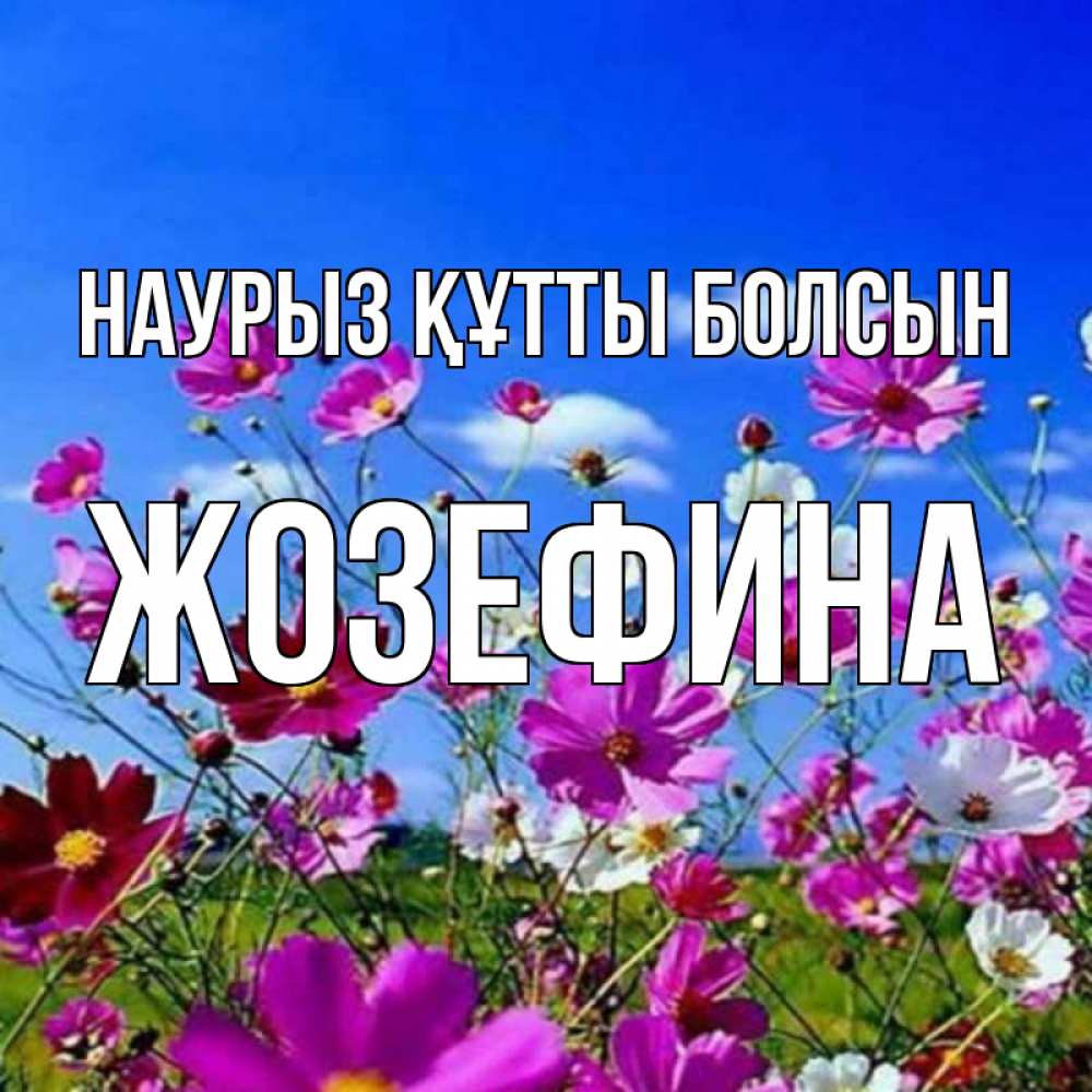 Открытка на каждый день с именем, Жозефина Наурыз құтты болсын цветы Прикольная открытка с пожеланием онлайн скачать бесплатно 