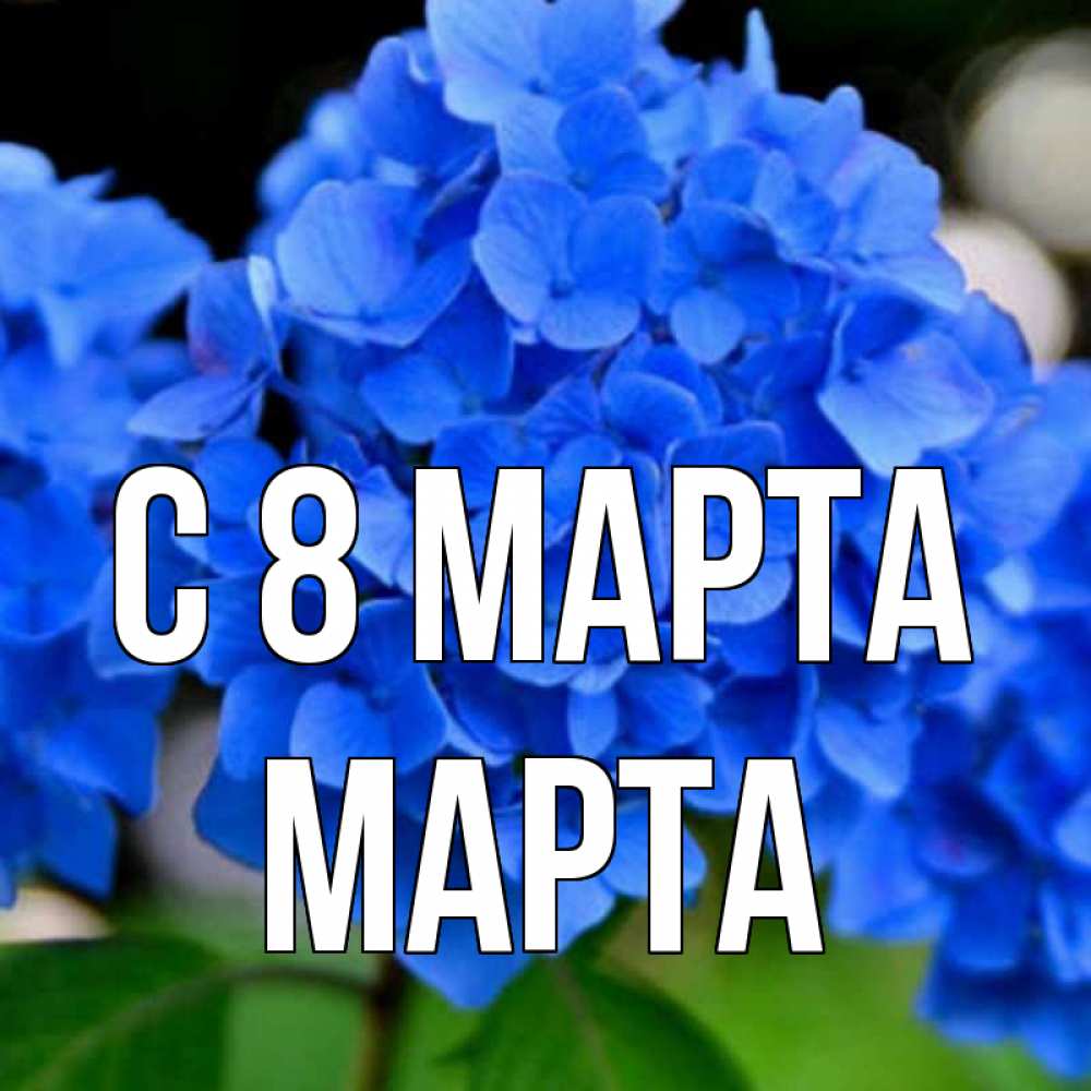 Открытка на каждый день с именем, Марта С 8 марта синие цветы Прикольная открытка с пожеланием онлайн скачать бесплатно 