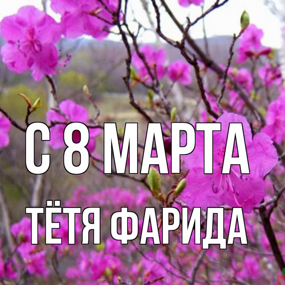 Открытка на каждый день с именем, Тётя-Фарида С 8 МАРТА международный женский день Прикольная открытка с пожеланием онлайн скачать бесплатно 