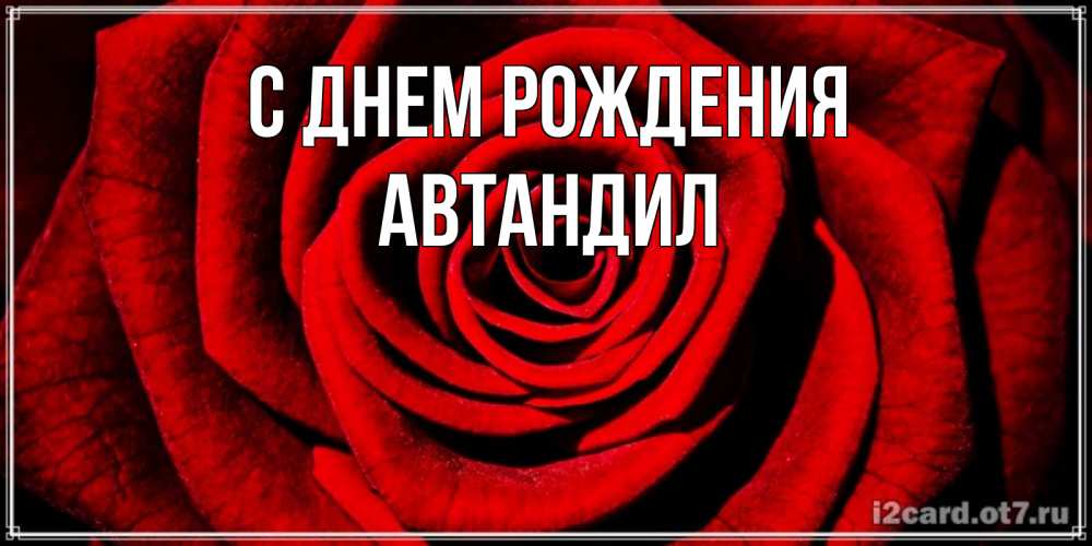 Открытка на каждый день с именем, Автандил С днем рождения алая роза Прикольная открытка с пожеланием онлайн скачать бесплатно 
