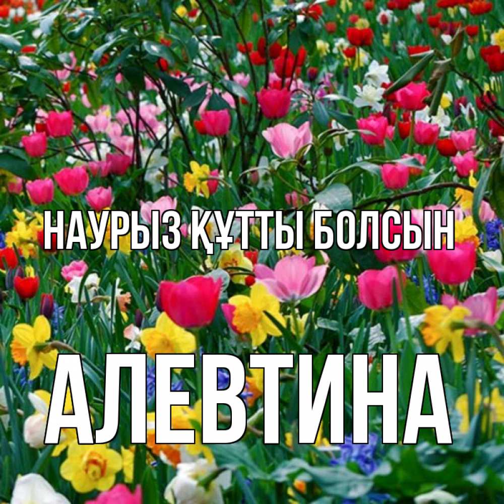 Открытка на каждый день с именем, Алевтина Наурыз құтты болсын с наурызом поздравления для женщины Прикольная открытка с пожеланием онлайн скачать бесплатно 