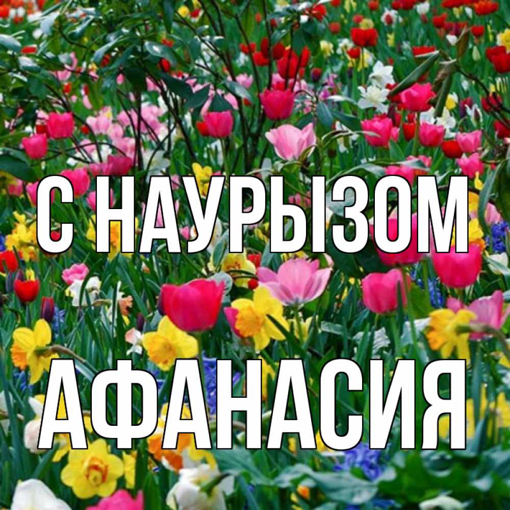 Открытка на каждый день с именем, Афанасия С наурызом с наурызом праздником весны поздравления для женщины Прикольная открытка с пожеланием онлайн скачать бесплатно 