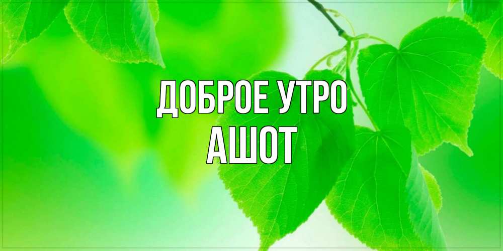 Открытка на каждый день с именем, Ашот Доброе утро доброе утро с березовыми листьями Прикольная открытка с пожеланием онлайн скачать бесплатно 