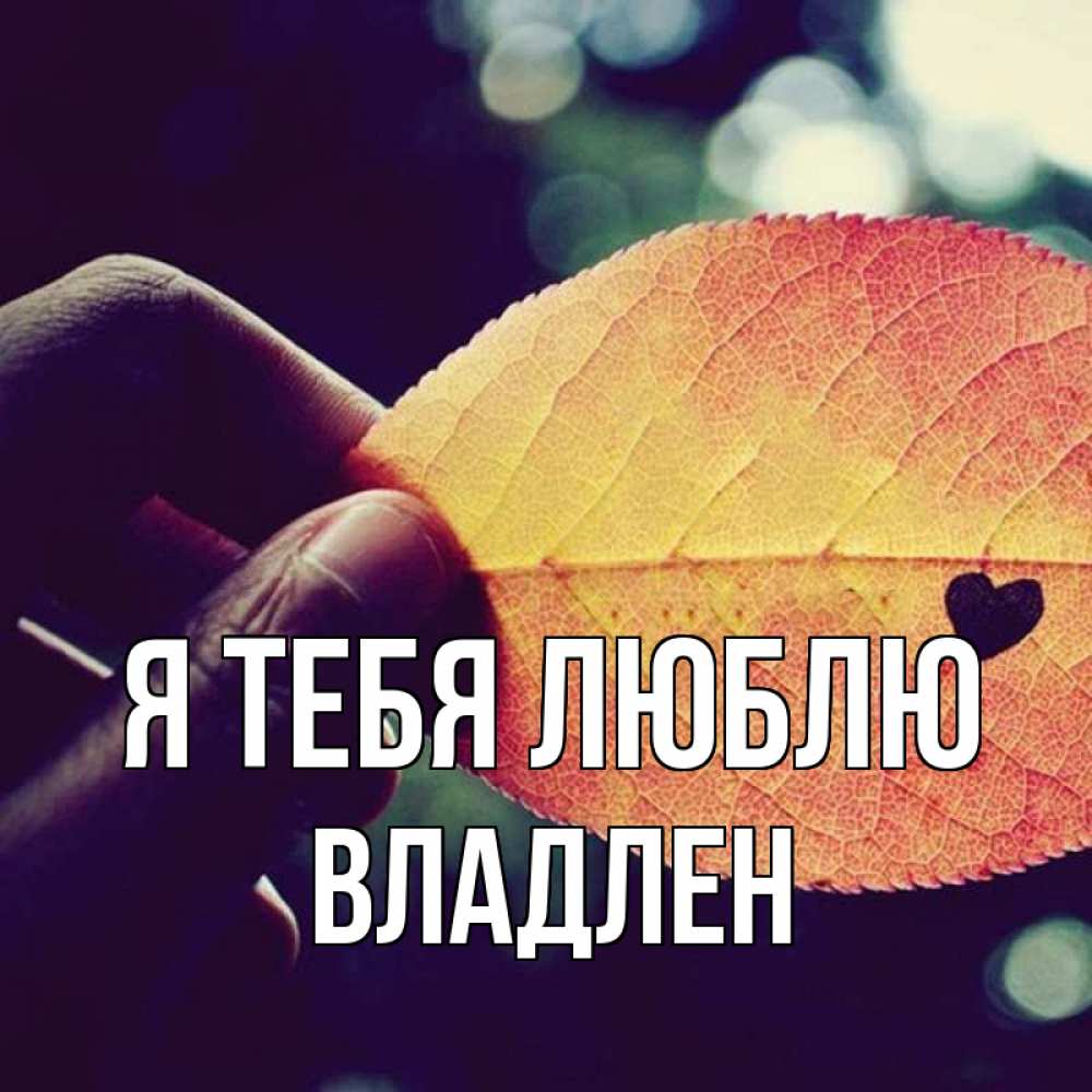Открытка на каждый день с именем, Владлен Я тебя люблю держу лист Прикольная открытка с пожеланием онлайн скачать бесплатно 