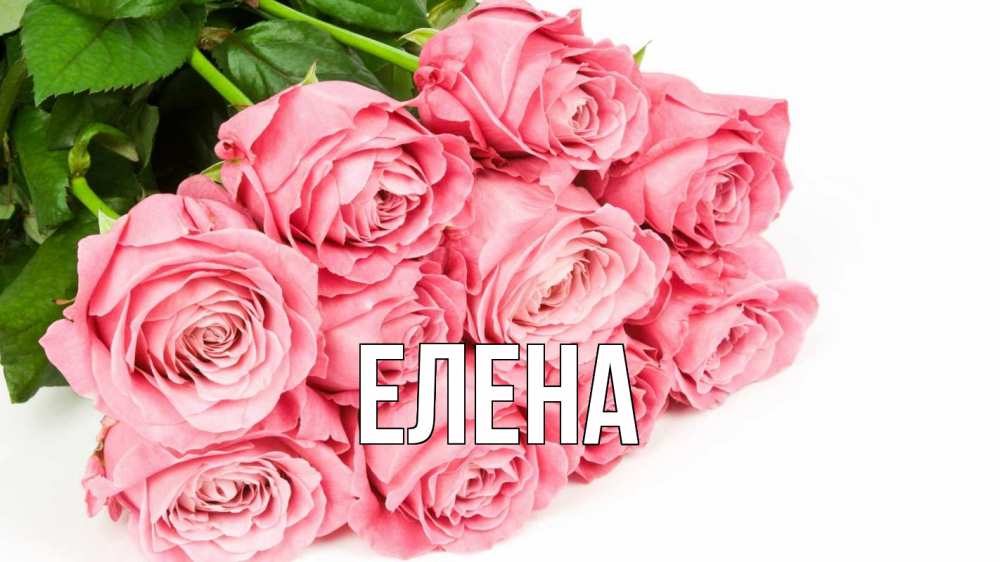 Открытка на каждый день с именем, Елена Главная с днем бухгалтера 2 Прикольная открытка с пожеланием онлайн скачать бесплатно 