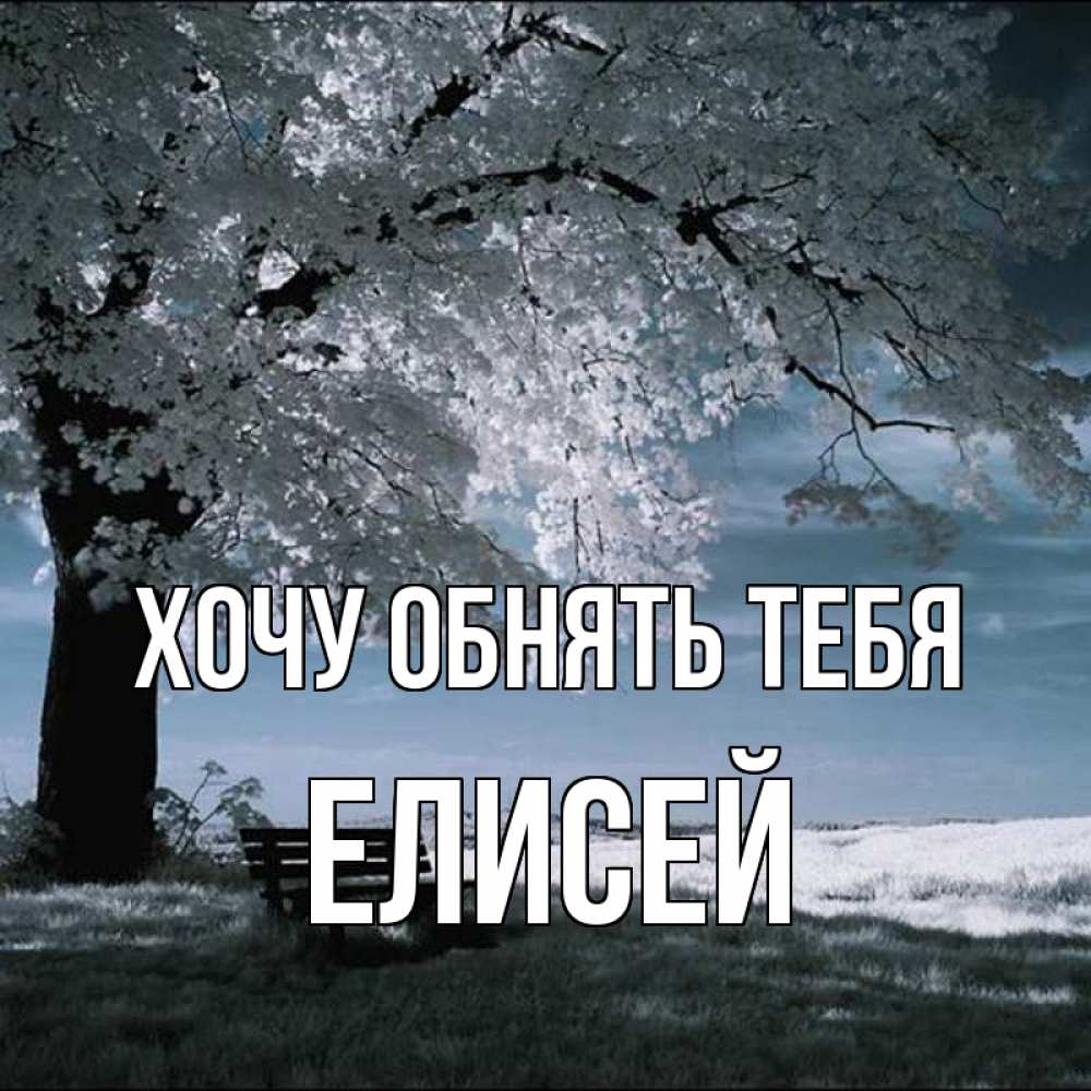 Открытка на каждый день с именем, Елисей Хочу обнять тебя дерево Прикольная открытка с пожеланием онлайн скачать бесплатно 