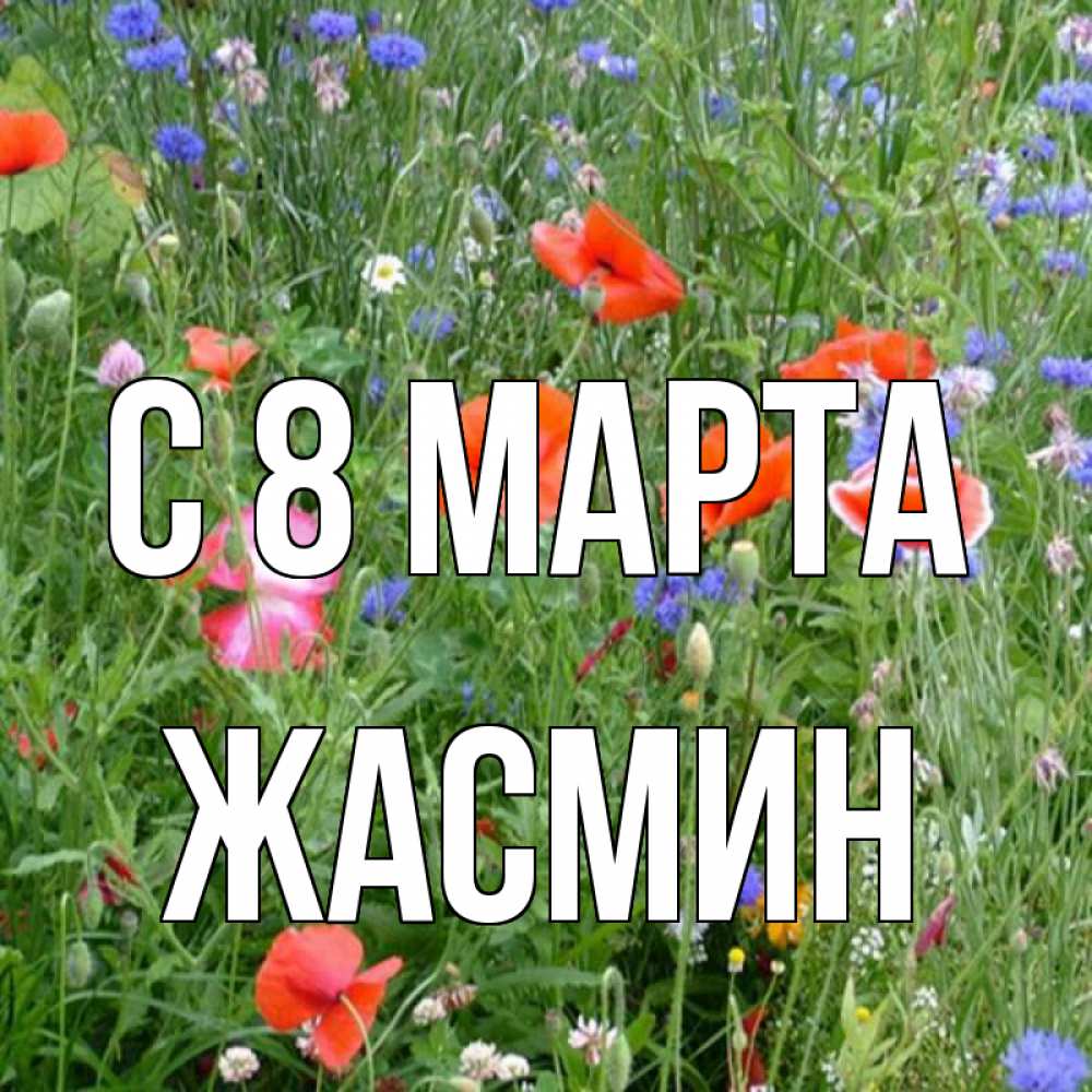 Открытка на каждый день с именем, Жасмин С 8 марта международный женский день 4 Прикольная открытка с пожеланием онлайн скачать бесплатно 