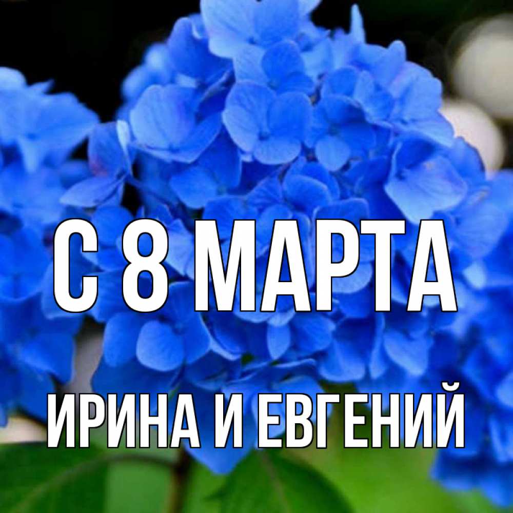 Открытка на каждый день с именем, Ирина-и-Евгений С 8 марта синие цветы Прикольная открытка с пожеланием онлайн скачать бесплатно 