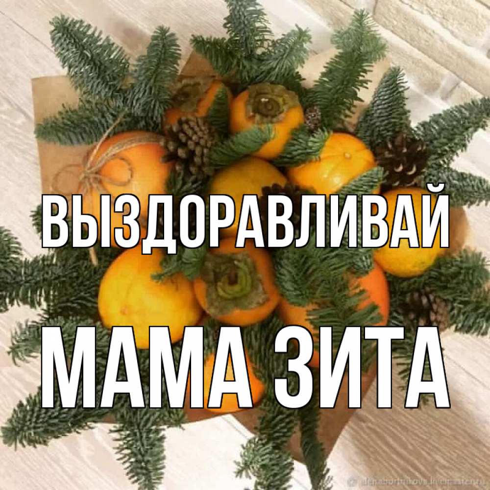 Открытка на каждый день с именем, Мама-Зита Выздоравливай апельсины и хурьма Прикольная открытка с пожеланием онлайн скачать бесплатно 