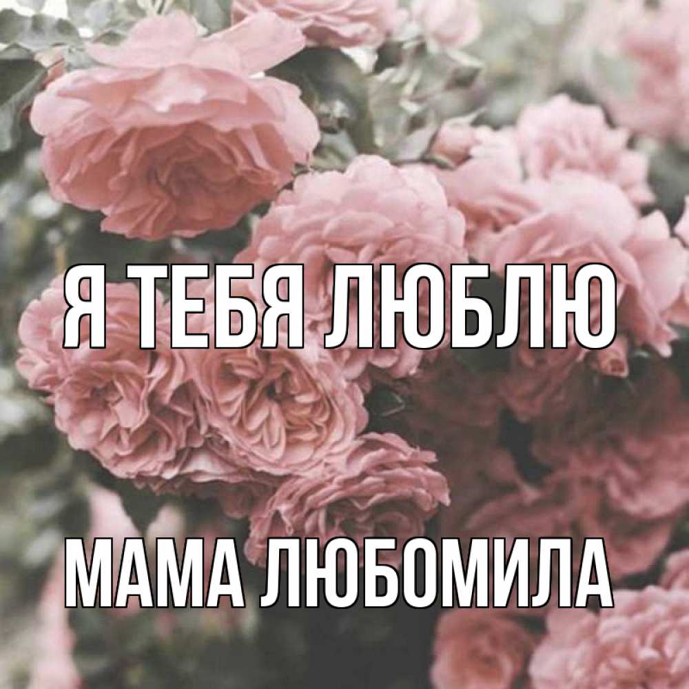 Открытка на каждый день с именем, Мама-Любомила Я тебя люблю розы 3 Прикольная открытка с пожеланием онлайн скачать бесплатно 